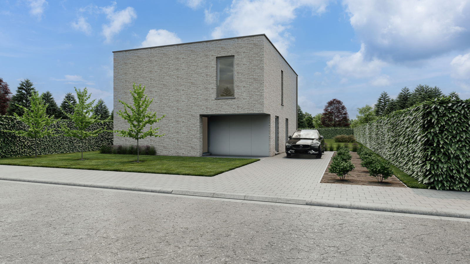 Grijze Gors main image