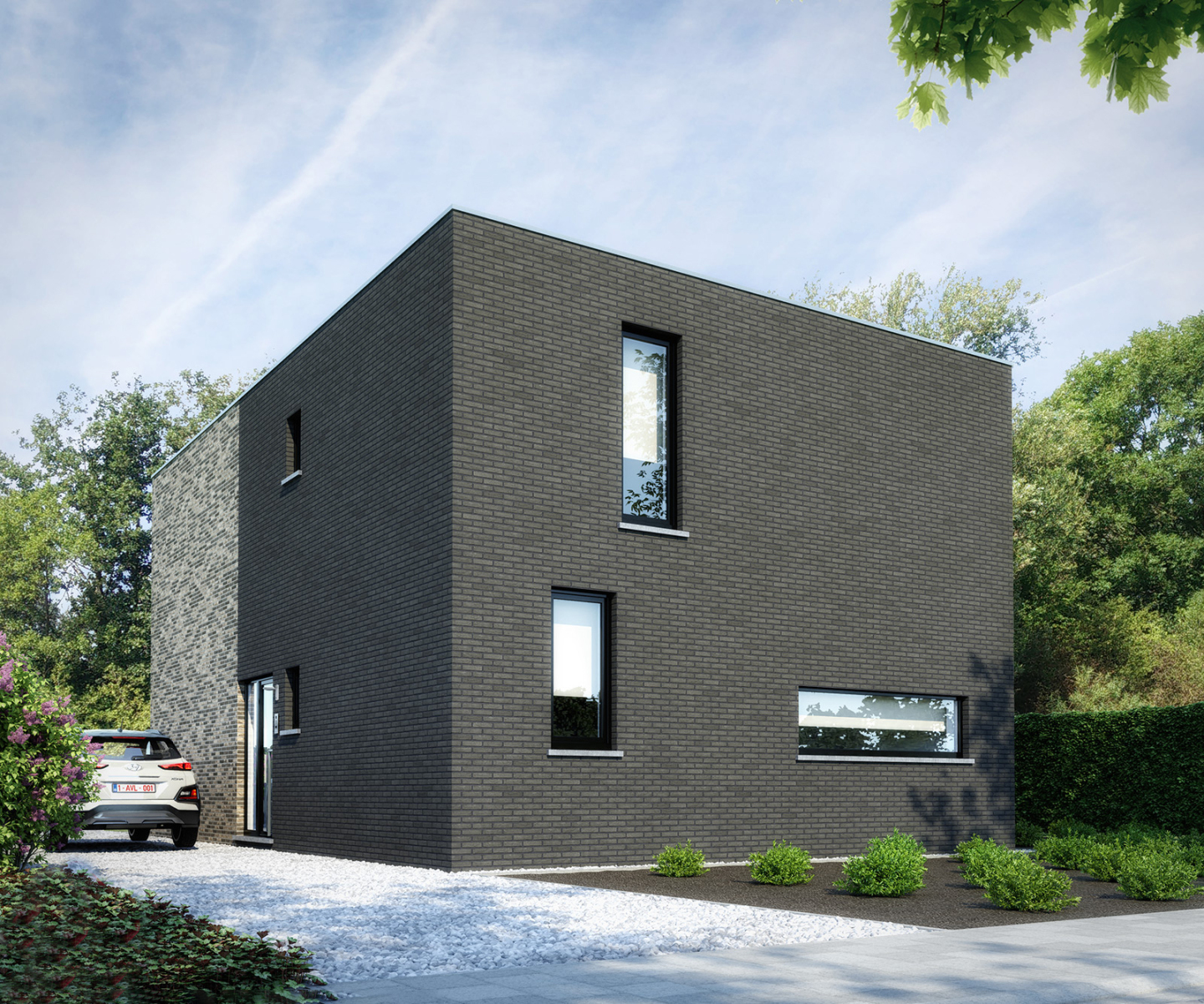 Rotszwaluw extra image 4