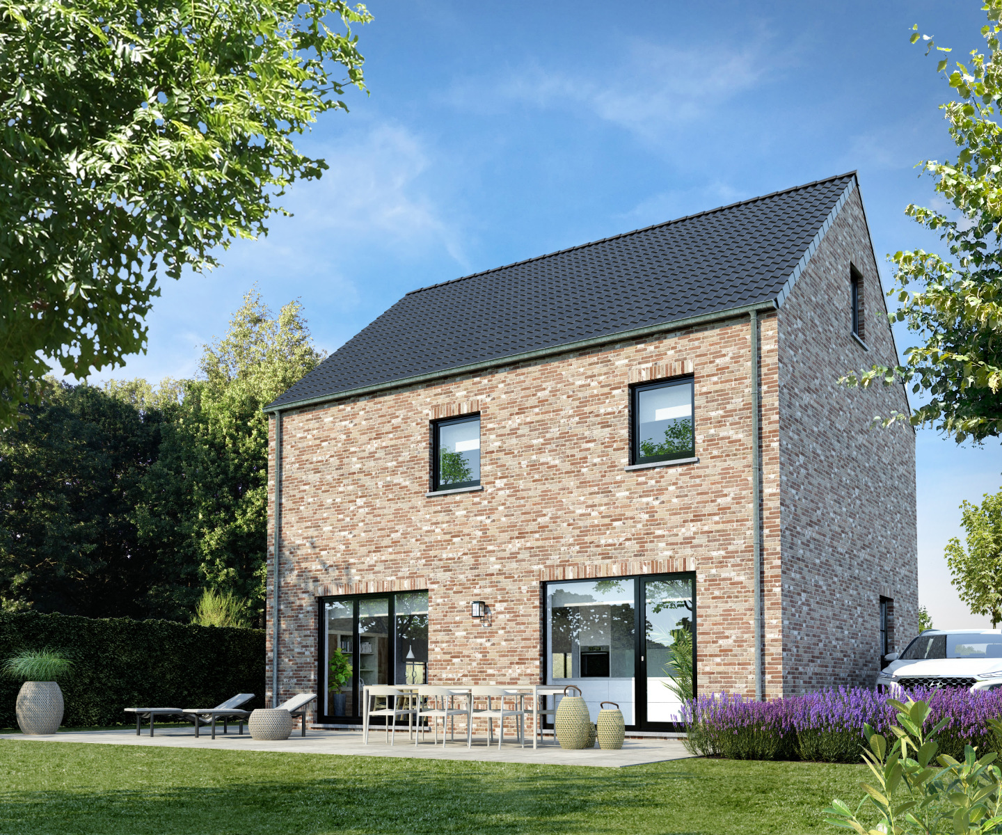 Nachtzwaluw extra image 2