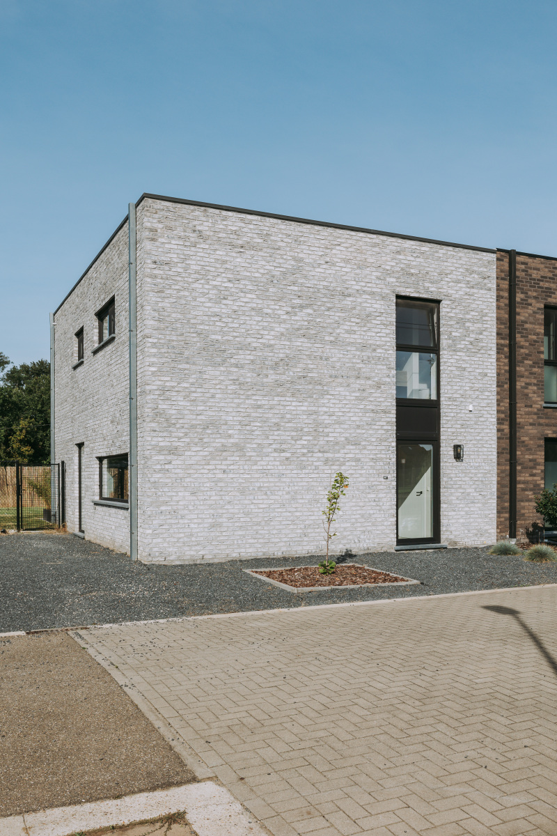 Zwaan main image