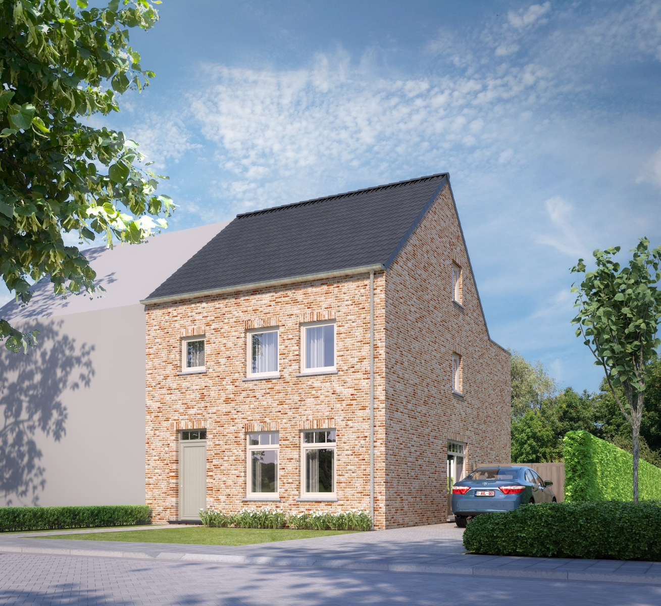 Dwergmeeuw main image