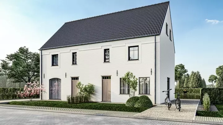 Zeearend main image