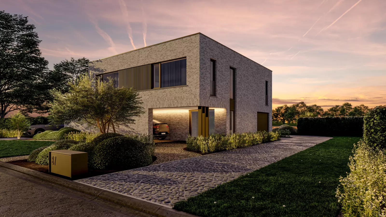 Reuze Albatros extra image 7