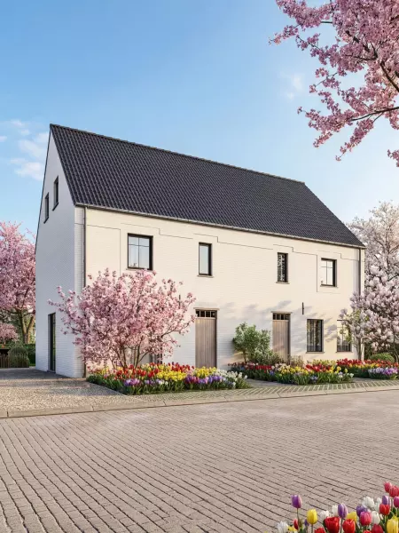 Zeearend AVL Woningbouw moderne open bebouwing